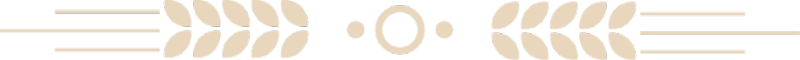 01.png