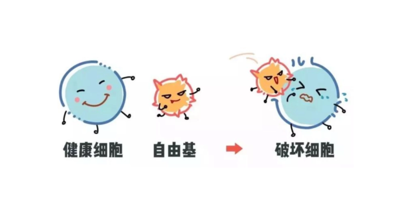 02.png