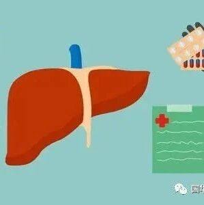 不老莓对肝脏的保护作用