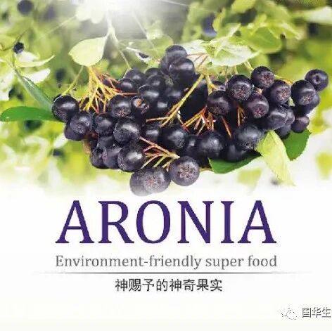 如此养生的超级水果,没理由不爱吃!