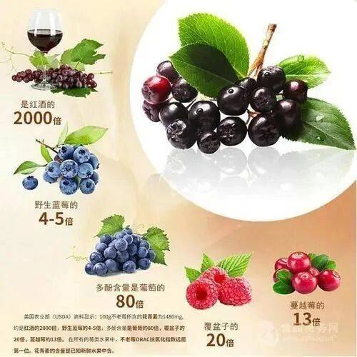 不老莓对代谢综合征患者血小板聚集、凝血和溶解的影响