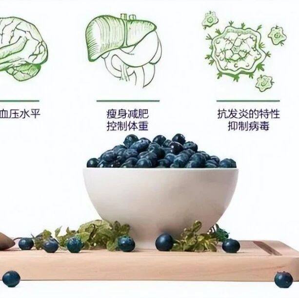 不老莓——风靡全球的抗衰浆果