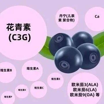 不老莓提取物的体内抗氧化活性