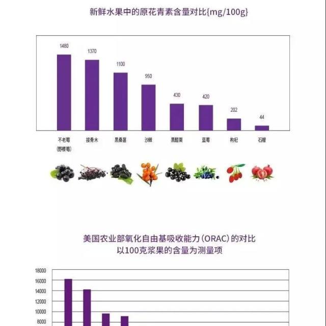 不老莓—筑起人体免疫力防线
