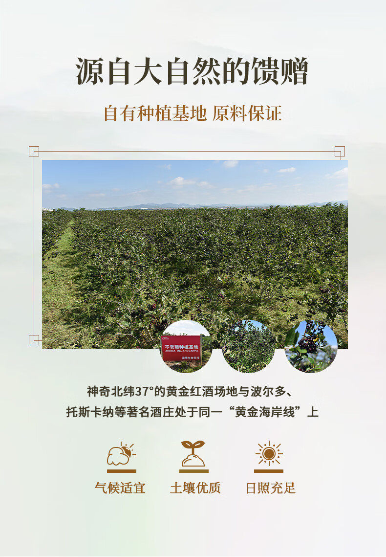 盛世江山 53度典藏级白酒