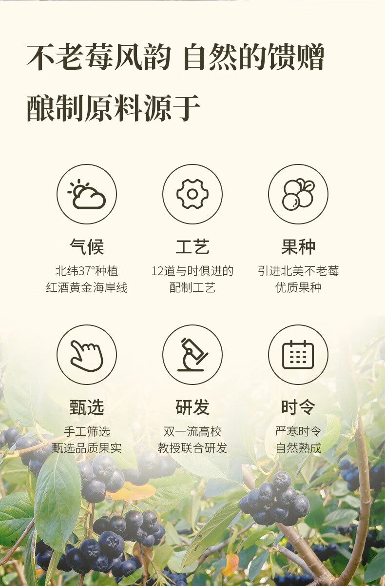 盛世江山 53度典藏级白酒