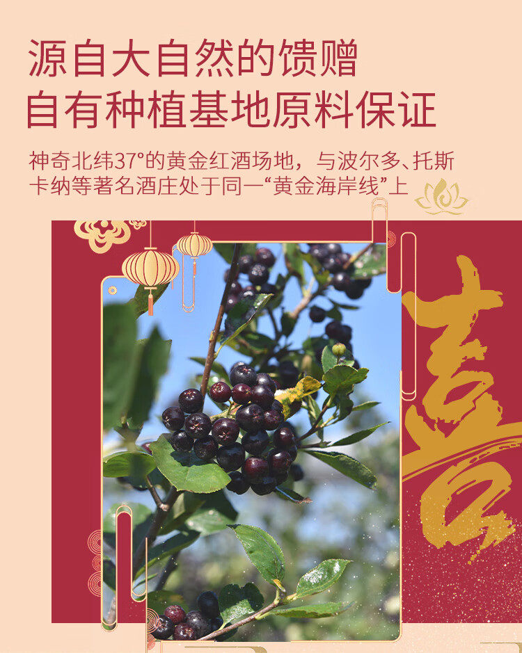 喜相逢 不老莓红酒 13.5度