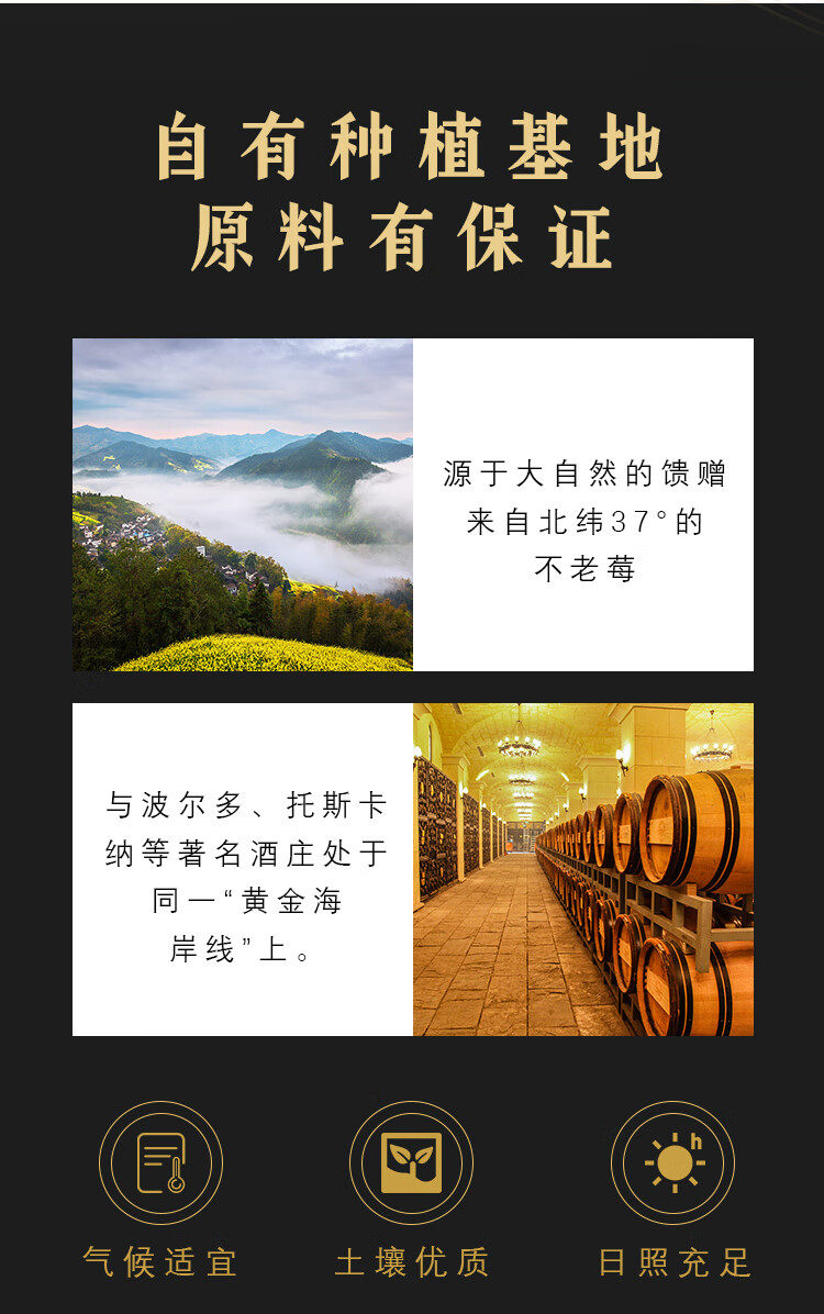 念山河 不老莓酒 16度 750ml