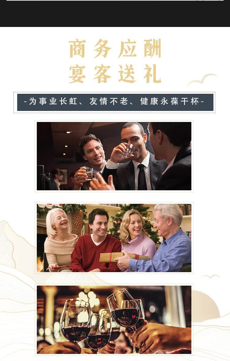 念山河 不老莓酒 16度 750ml