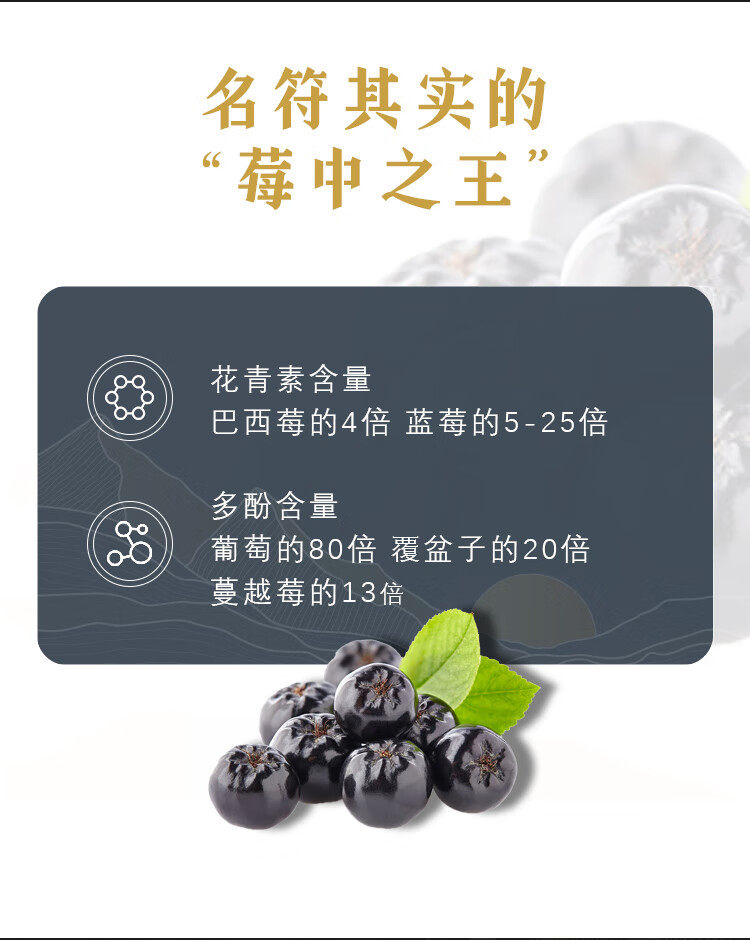 念山河 不老莓酒 16度 750ml