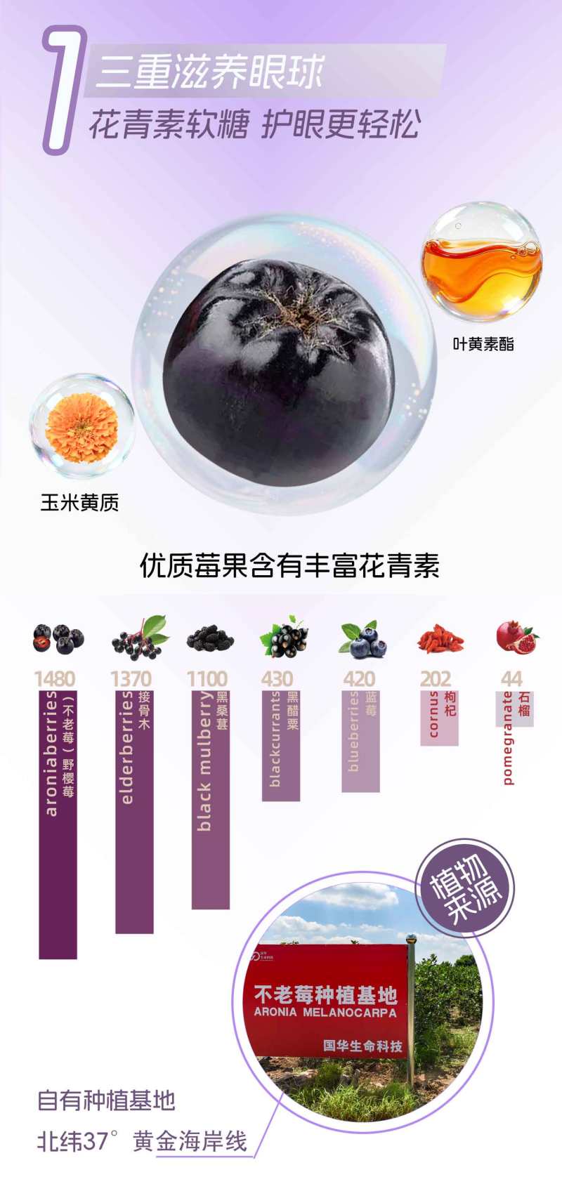 花青素叶黄素软糖