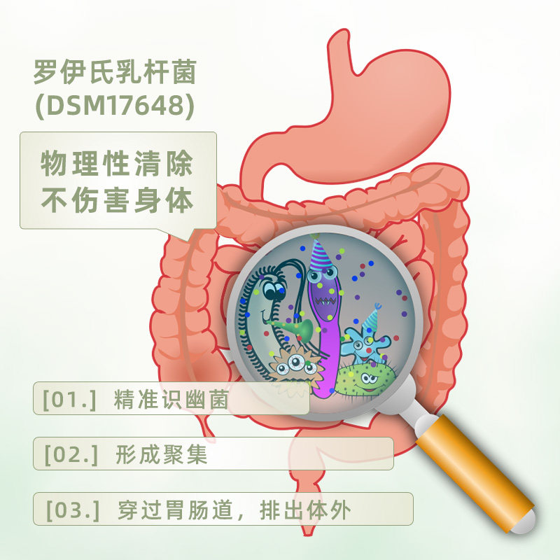 罗伊氏乳杆菌·蛋黄免疫球蛋白 固体饮料