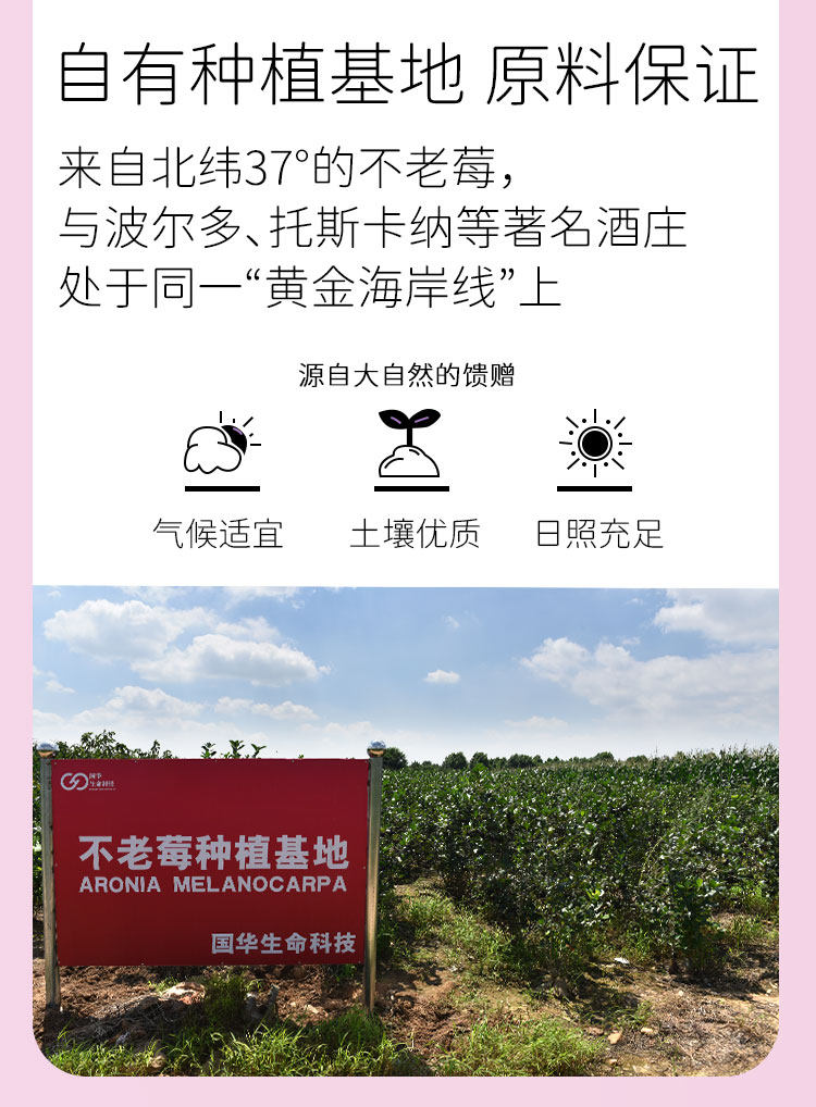 不老莓发酵型果醋 450ml