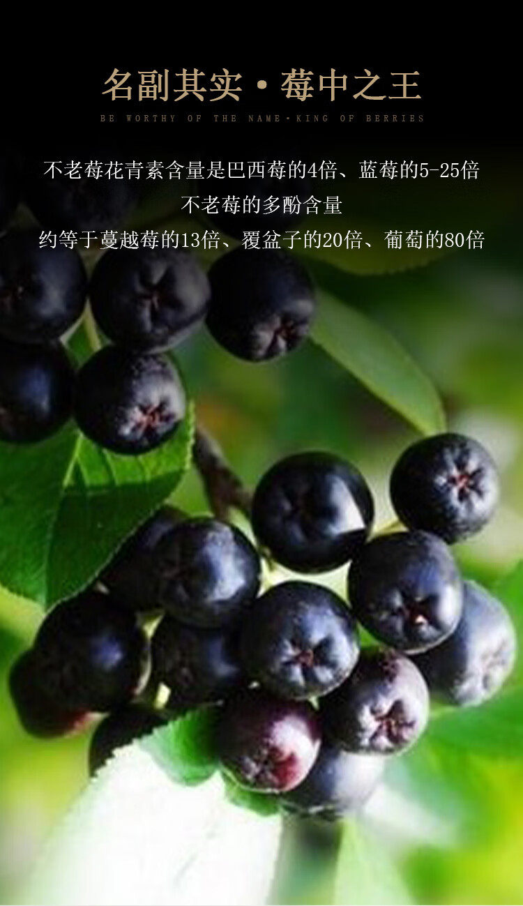 畅宏境银至尊 不老莓酒 干型15度 750ml