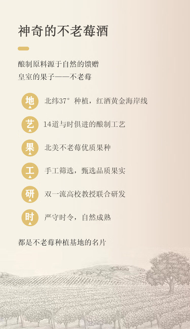 畅宏境金至尊 不老莓酒 干型15度 750ml