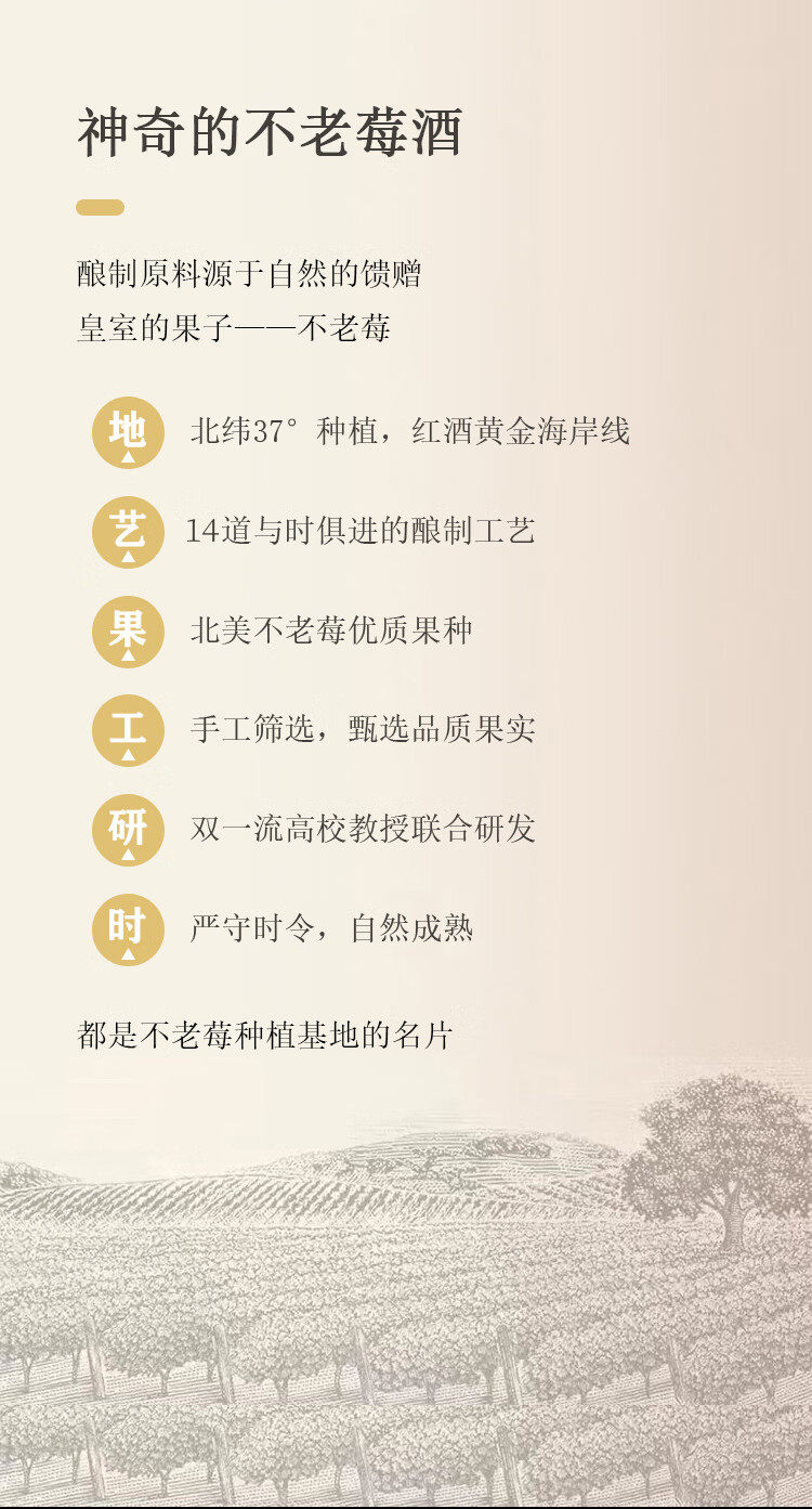 畅宏境银至尊 不老莓酒 干型15度 750ml