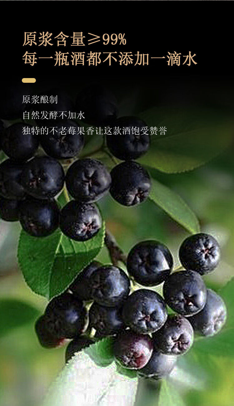畅宏境金至尊 不老莓酒 干型15度 750ml