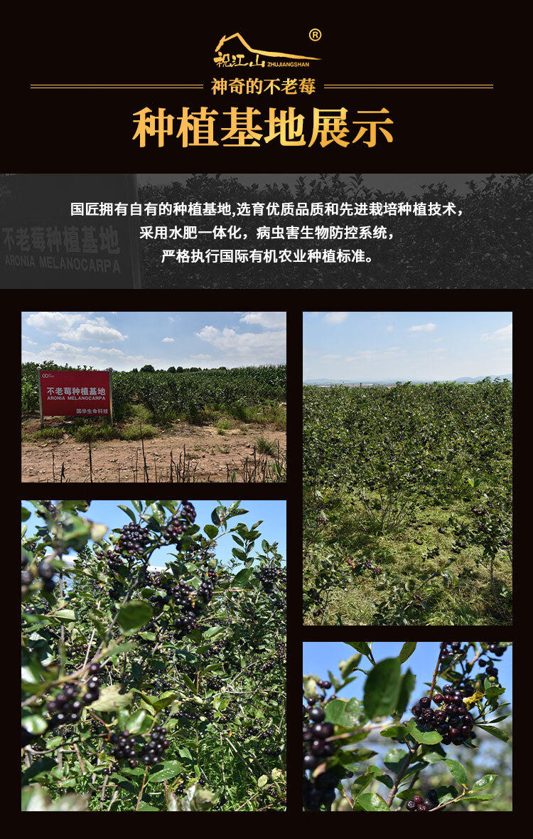 不老莓白兰地 XO 干邑 750ml 42度