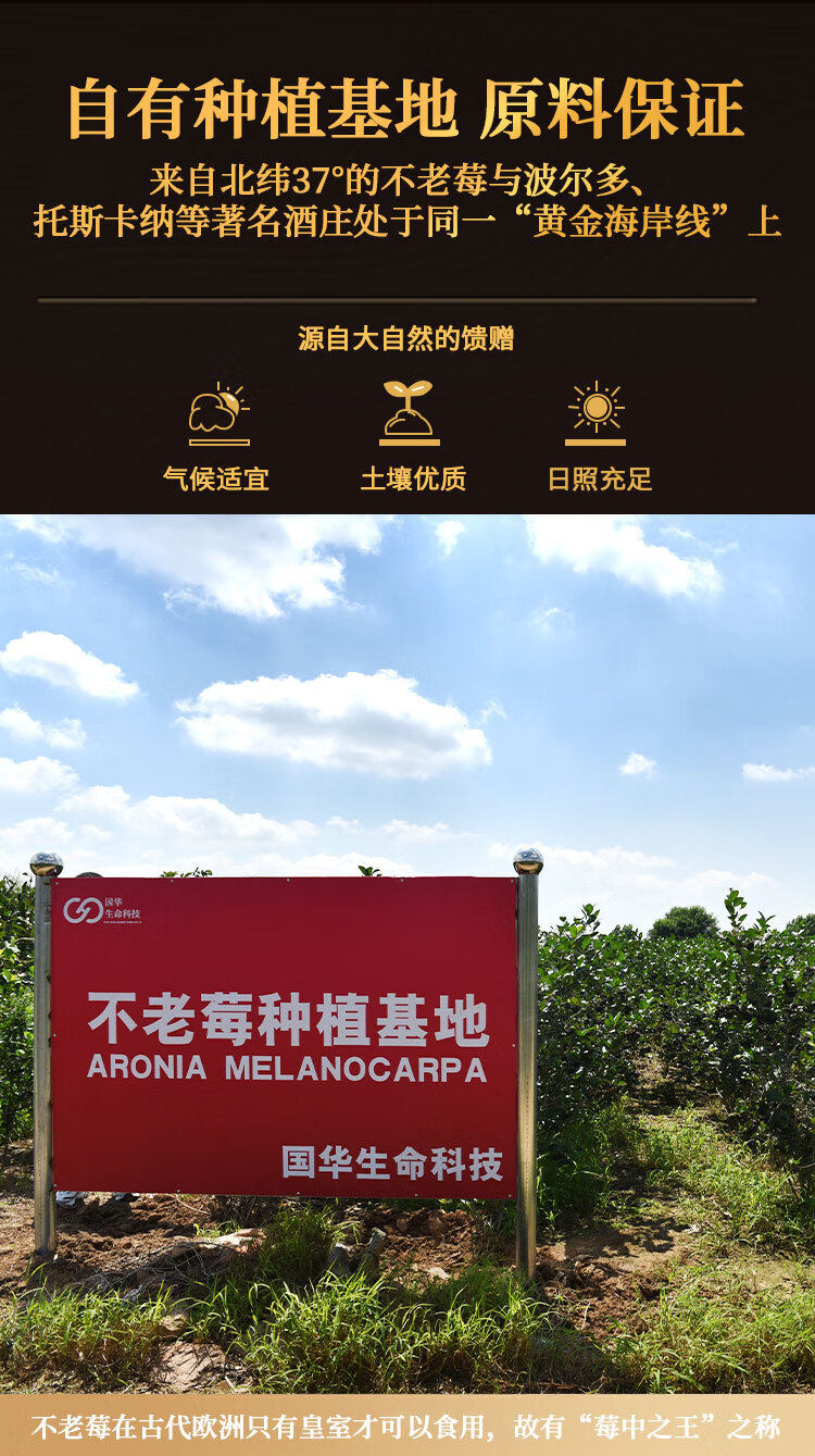 不老莓白兰地 XO 干邑 750ml 42度