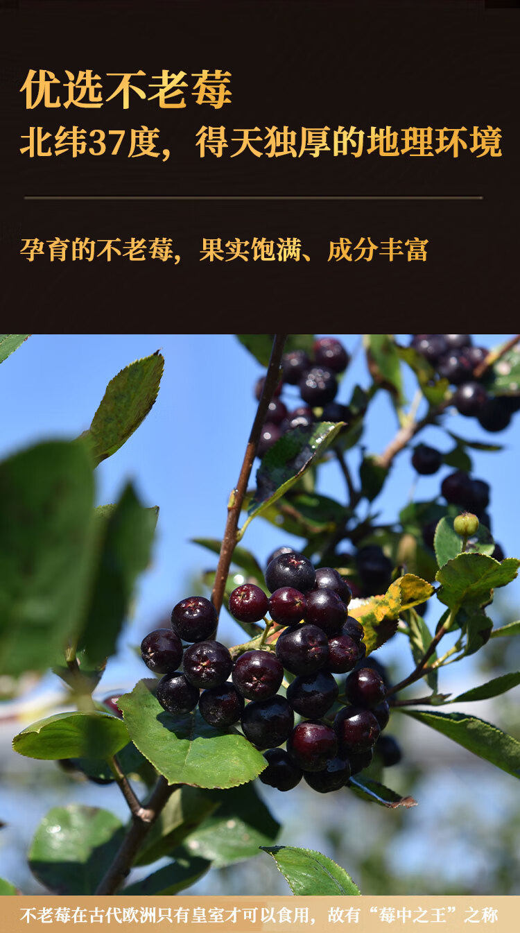 不老莓白兰地 XO 干邑 750ml 42度