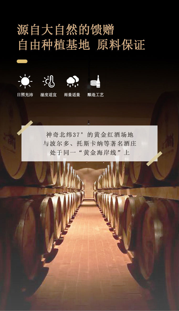 陶朱汇 不老莓蒸馏酒 53度 500ml
