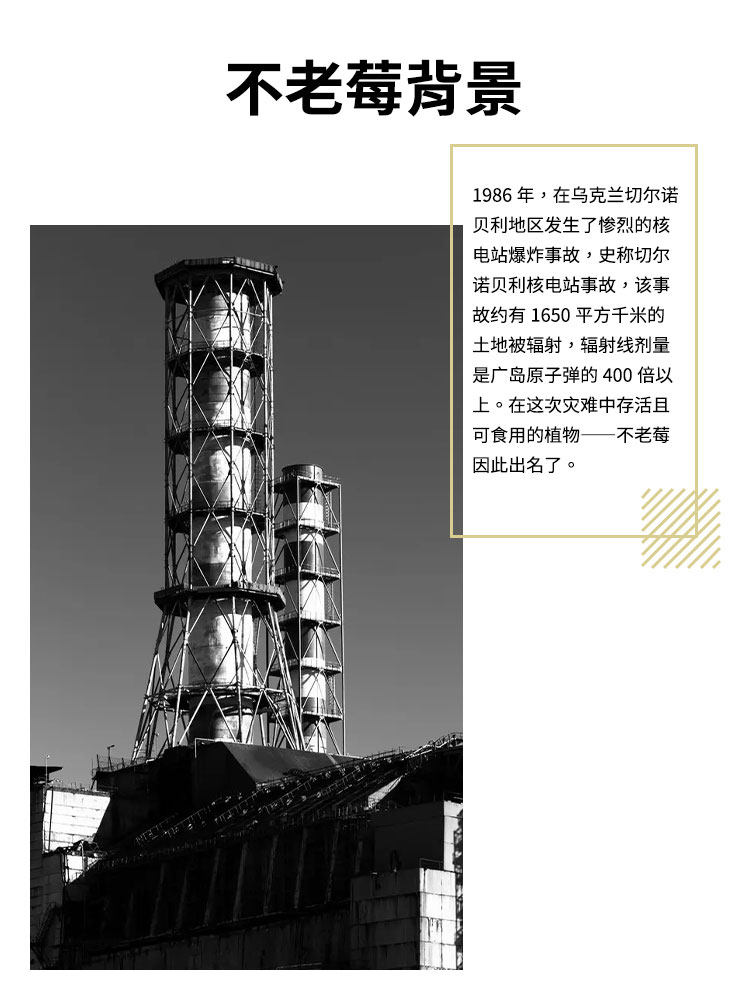 金标SOUL 零度不老莓酒 750ml
