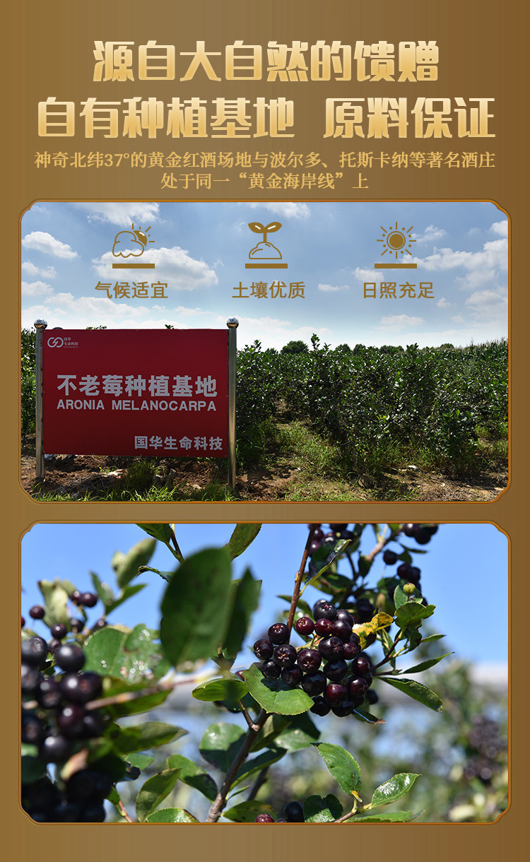 忆故人 不老莓酒 14.5度 750ml