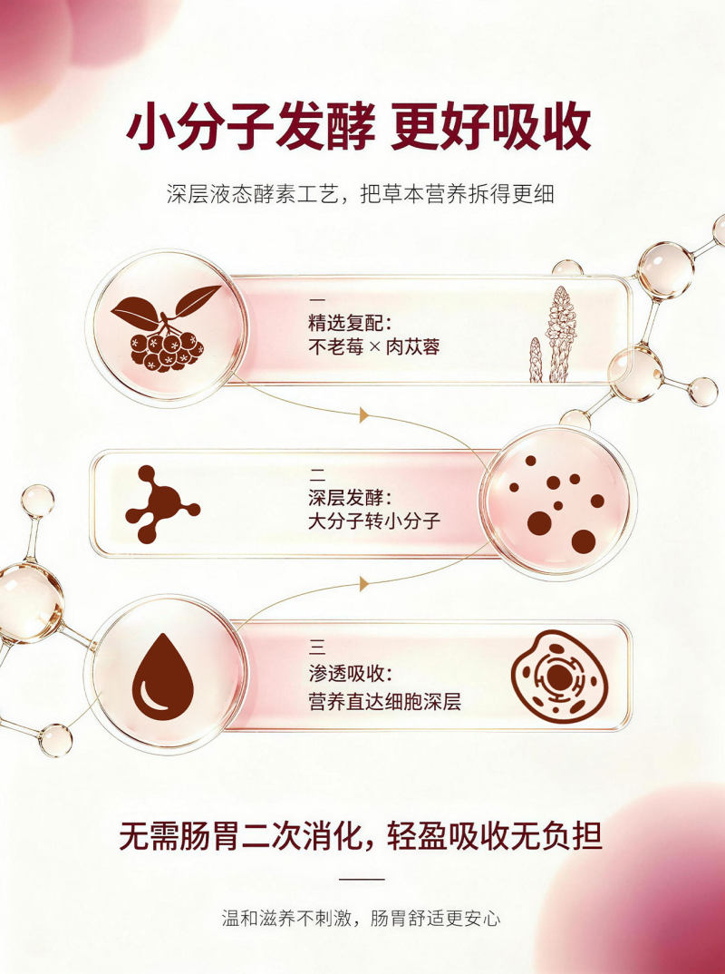 肉苁蓉不老莓酵素