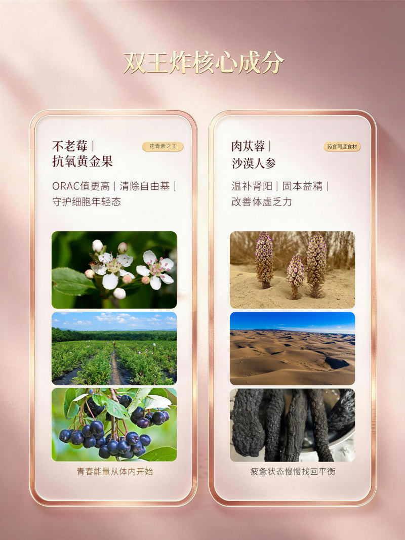 肉苁蓉不老莓酵素